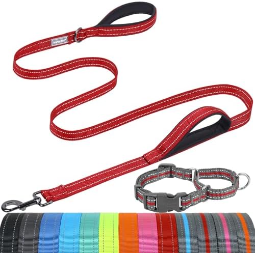 VIVAGLORY Double Handle Dog Leash Twingrip, 5ft x 1in, L, Red Grey by VIVAGLORY