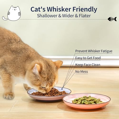 Selamica 6 Inch Ceramic Cat Bowls, Set of 6, Gradient Color - Image 2