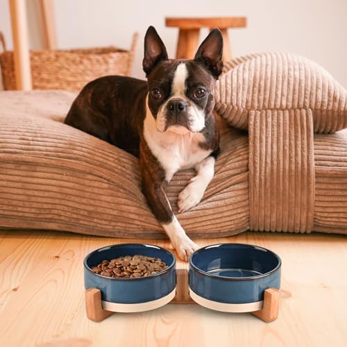 SPUNKYJUNKY Ceramic Dog and Cat Bowl Set with Wooden Stand, Modern Cute Weighted Food Water Bowl Set for Small Size Dogs (1.7 Cups, 2 × Pattern Blue) - Image 2