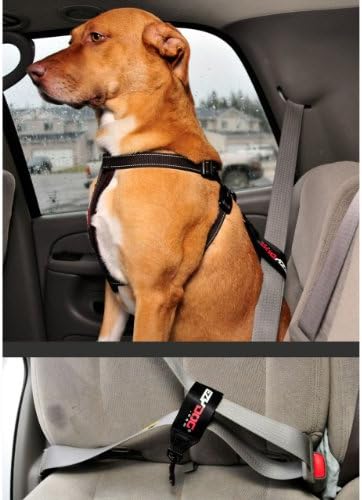 EzyDog Universal Dog Seat Belt Restraint for Cars - Image 4