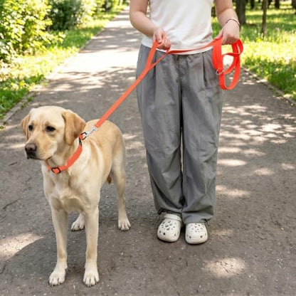 Waterproof Dog Leash with Double Handle, 6 FT Durable Odor-Proof Dog Leashes with Strong Aviation Aluminum Hooks Fits Small Medium or Large Dogs - Image 5