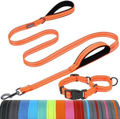 VIVAGLORY Double Handle Dog Leash Twingrip, 5ft x 1in, S, Orange by VIVAGLORY
