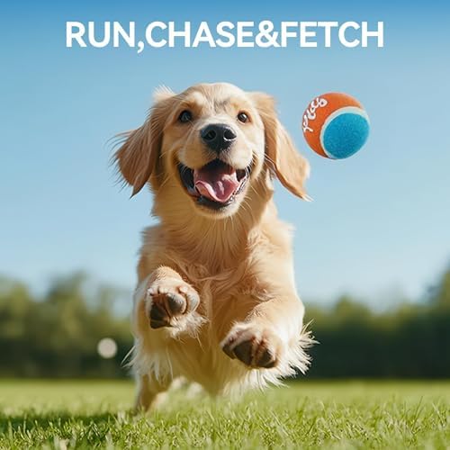 ALL FOR PAWS 2.5" Tennis Balls for Dogs, Dog Balls for Ball Launcher Toy, Bouncy & Durable Fetch Balls for Medium Large Dogs, 4 Pack Fetch Toy for Outdoor Play - Image 3