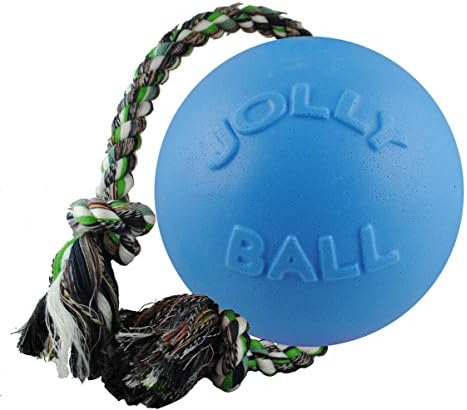 Jolly Pets Romp-N-Roll Rope & Ball Dog Toy, 8 in Large, Blueberry by JollyPets