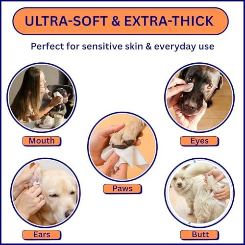 Aurora Pet Wipes – 100% Natural, Plant-Based Hypoallergenic Grooming Wipes for Dogs & Cats – Extra-Durable, Large & Thick for Effortless Cleaning (Unscented, 100 Count) - Image 5