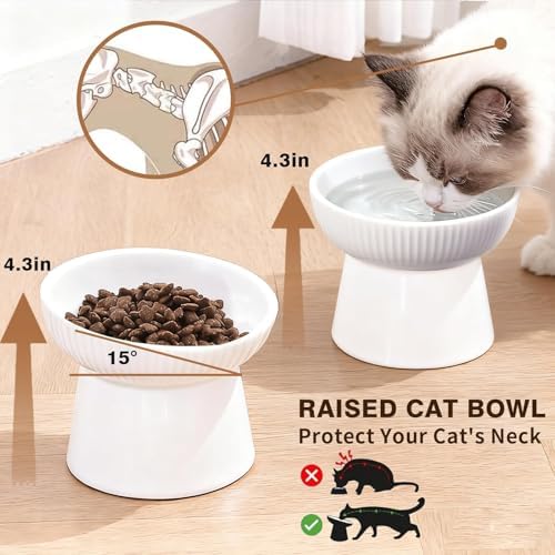 Elevated Cat Food Bowl, Ceramic Raised and Tilted Water Bowl, Whisker Fatigue Cat Bowls for Indoor Cats, Anti Vomiting and Protect Spines Pet Feeding Dishes for Kittens Small Dog, Heavy Non-Slip Base - Image 2