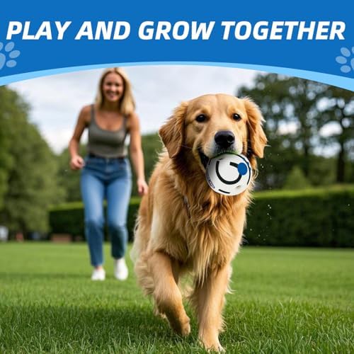 Glow in The Dark Dog Toys Ball, L, 3.94 in (10 cm) - Image 3