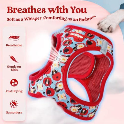 rabbitgoo Dog Harness Medium Sized and Leash Set, Step-in Puppy Pet Vest - Image 4