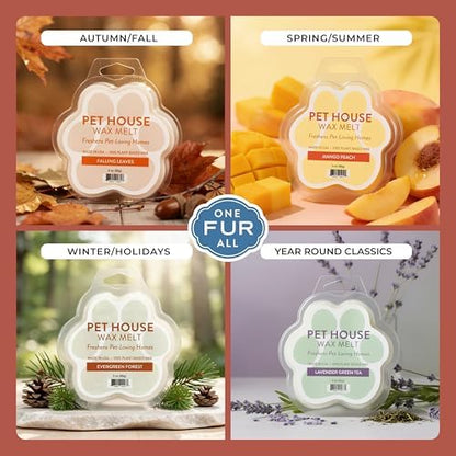 Apple Cider Wax Melts for Warmer Plant-Based Wax, 2 Pack Pet House - Image 4