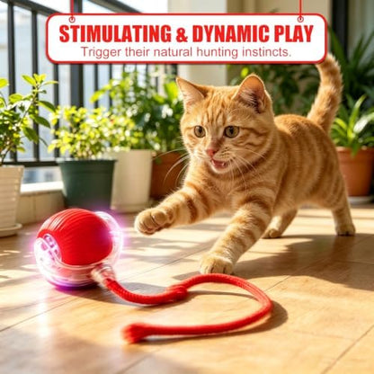 Automatic Interactive Rolling Cats Toys Ball for Indoor, Electric Automatic Rolling Pet Toy, 360° Smart Interactive Rolling Dog Ball Durable and Safe Material for Cat and Dog(Red) - Image 2