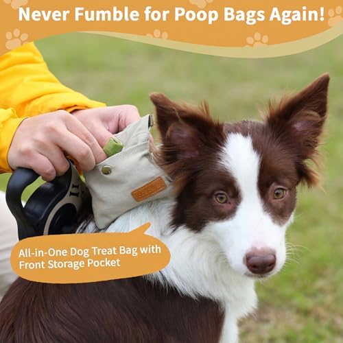 Dog Treat Pouch for Pet Training, Carabiner & Magnetic Buckle, Grey - Image 4