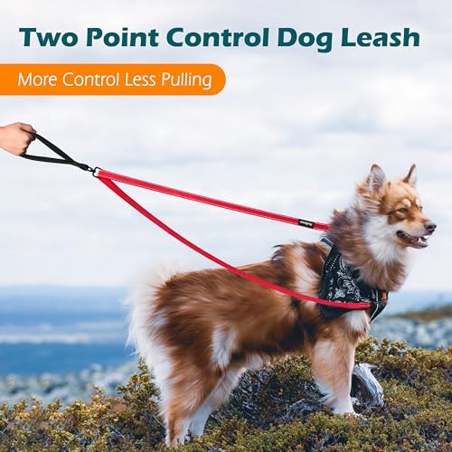 PetBonus Two Point Control Dog Leash, No Tangle Training Walking Leashes - Image 2