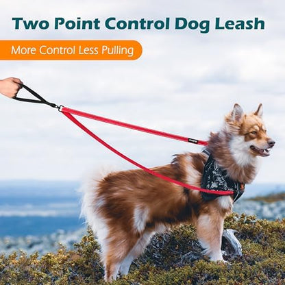 PetBonus Two Point Control Dog Leash, No Tangle Training Walking Leashes - Image 2