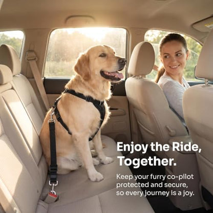 BLMHTWO 4PCS Dog Seat Belt, Adjustable Dog Car Harness - Image 3