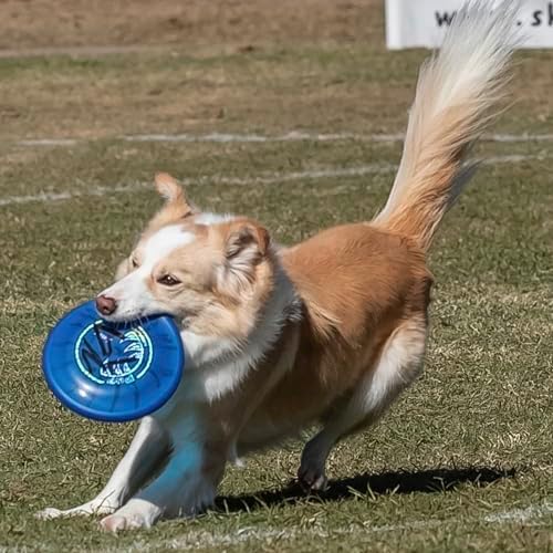 Hyperflite Pup Jawz Puncture Resistant Dog Flying Disc, Small Dogs - Image 5