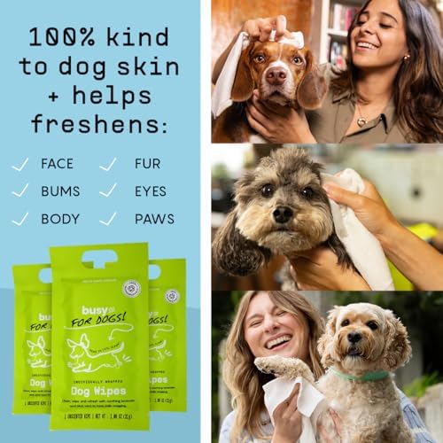BUSYCO - Hypoallergenic Dog Wipes, Cleaning and Odor Control Grooming Wipes for Paws, Body, and Butt, Perfect for Puppy and Adult Dogs, Individually Wrapped, Unscented (Unscented, 20 Grooming Wipes) - Image 4