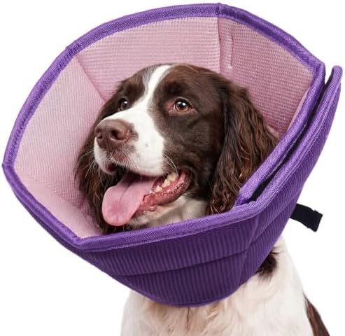 Allroaring Adjustable Dog Cone for Spay, Comfy Recovery Collar Purple L by Allroaring