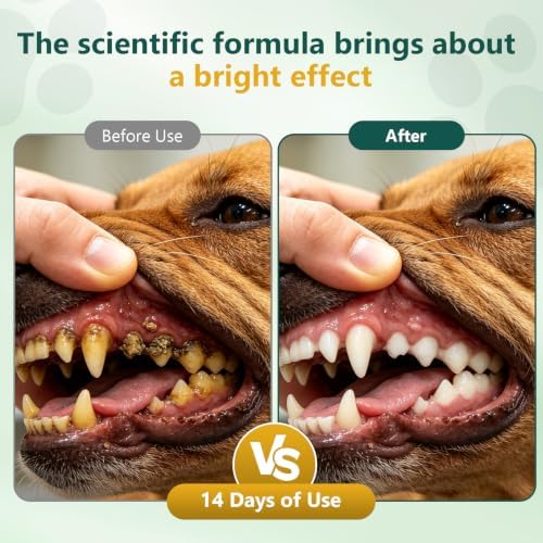 Petnanny Dog Dental Powder – Teeth Cleaning Powder - Image 5