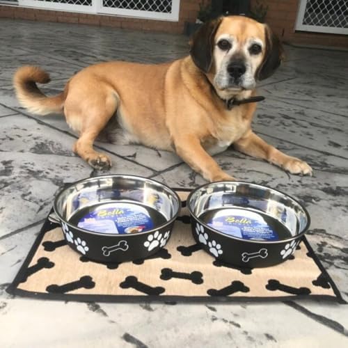 Loving Pets Bella Dog Bowls- Stainless Steel Dog & Cat Bowls - Spill Proof Dog Food Bowl, Cat Bowl, Puppy Essentials & Pet Supplies Great for Home & Travel (X-Large 65-100lbs, Espresso) - Image 5
