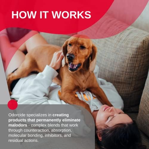 Odorcide Odor Eliminator Concentrate: Odor Eliminator for Strong Odor on Carpets, Hardwood & More - Smoke, Sweat & Pet Odor Eliminator for Home w/Non-Enzymatic Formula, 16 oz… - Image 4