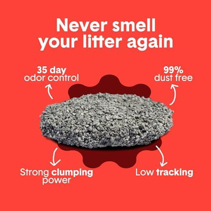 Boxie Extra Strength Clumping Cat Litter Multi Cat 35 Day Odor Control 28lb - Image 3