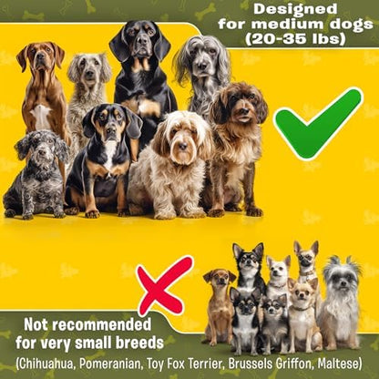 Pet Dreamland Exquisite Double Dog Coupler No Tangle Swivel for Two Medium Dogs. Premium Quality Attachment for Easy Dog Walking. You Will Absolutely Love This Amazing Gear (Black & Green) - Image 2
