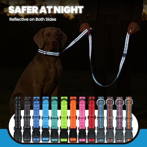 VIVAGLORY Double Handle Dog Leash Twingrip, 5ft x 1in, M2, Blue Grey - Image 5