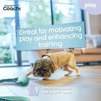 Coachi Puppy & Mini Tuggi Ball - Dog Toy for Tug of War & Play - Image 2