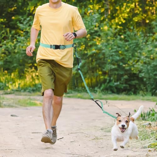 Mile High Life Hands Free Leash, Waist Leash for Dog Running Training and Jogging, Adjustable Belt with Double Padded Handle, Reflective Bungee for Medium Large Dogs (Teal, 7FT) - Image 7