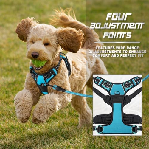 BARKBAY Dog Harness No Pull for Small Sized Dog Front Back Clips,Dog Vest - Image 6