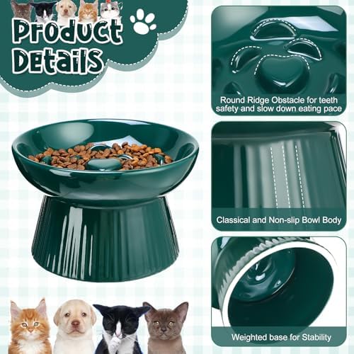 Tioncy 2 Pcs Ceramic Elevated Slow Feeder Cat Bowl, Dark Green, Blue - Image 3