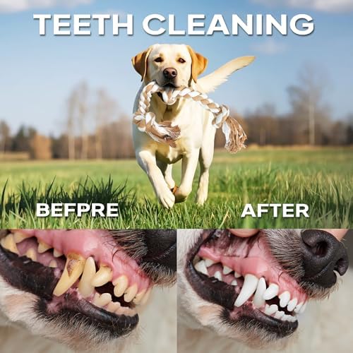 PetiFine Dog Rope Toys for Large/Medium Dogs,Natural Cotton Tug of War Toys - Image 4