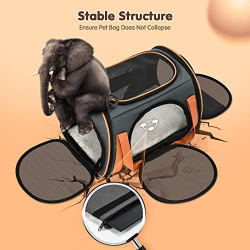 Cat Carrier TSA Airline Approved with Ventilation for Small Medium Cats Dogs Puppies, Dog Carrier with Big Space, 5 Mesh Windows, 4 Open Doors for Comfortable Travelling. - Image 4
