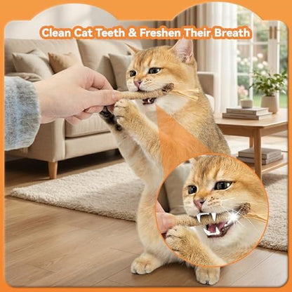 6Pcs Silvervine Sticks for Cats with Catnip Bag, Cat Chew Toys for Teeth Cleaning and Anxiety Relief, Natural Dental Care Kit for Indoor Cats & Kittens - Image 4