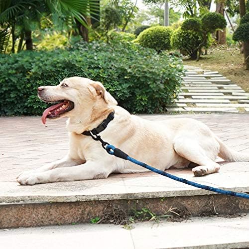 BTINESFUL Dog Tie Out Long Tether 8/12/20/30/50/75ft Rope Dog Lead for Yard - Image 5