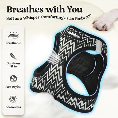 rabbitgoo Dog Harness Medium Sized and Leash Set, Step-in Puppy Pet Vest - Image 4