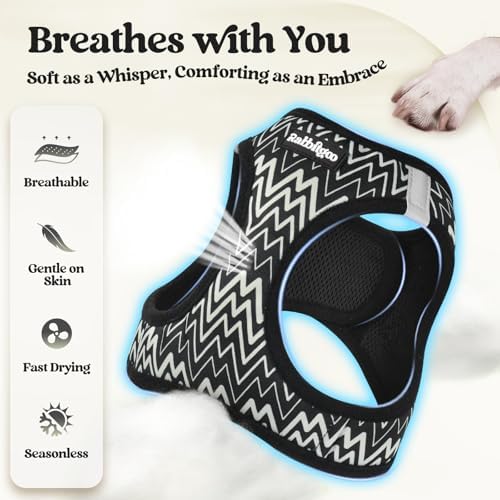 rabbitgoo Dog Harness Small Sized and Leash Set, Step-in Puppy Pet Vest - Image 4