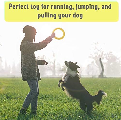 PetSpy Dog Ring Toy – Flying Ring for Outdoor Play, Floating Training & Fetch Toy for Throwing, Catching & Chewers – Durable EVA Flying Disc for Small, Medium & Large Dogs - Image 2