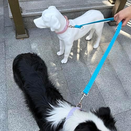 Double Ended Dog Leash,for Obedience Training Easy to Use,Lightweight,Soft for Large and Medium Dogs (Blue, 1M*2.5CM) - Image 6