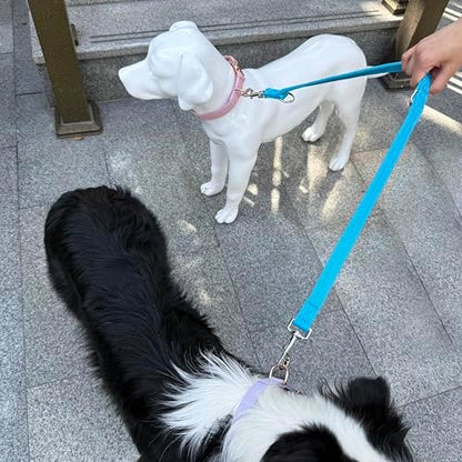 Double Ended Dog Leash,for Obedience Training Easy to Use,Lightweight,Soft for Large and Medium Dogs (Blue, 1M*2.5CM) - Image 6