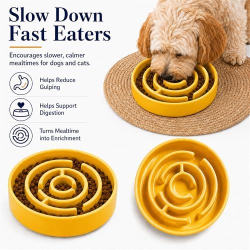 Ceramic Slow Feeder Dog Bowl, 1.5 Cup Puzzle Dish for Small Medium Dogs - Image 5