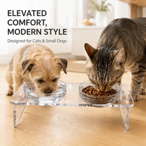 Acrylic Dog Bowl Stand, 3.7in Elevated Cat Bowls, 4 Bowls - Image 3