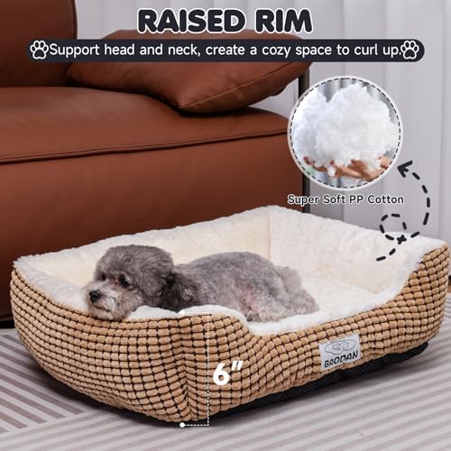 Small Dog Bed for Small Dogs, Cat Beds for Indoor Cats Washable, Rectangle Dog Bed, Warming Soft Calming Sleeping Puppy Bed Durable Pet Bed with Anti-Slip Bottom (20 inch, Coffee) - Image 2
