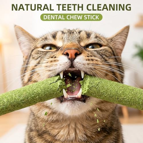 Cat Toy 12Pcs Variety Pack Cat Grass Treat & Catnip Rope Mix - Image 2