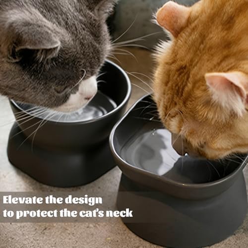 Cat Food Bowl,Cat Bowls for Indoor Cats,1 Count Grey Double-Sided Available - Image 6