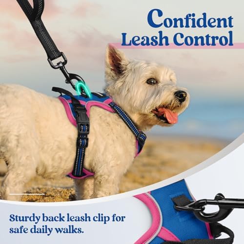 rabbitgoo Dog Harness, No Pull for Small Dogs with 2 Leash Clips, Pet Vest - Image 6