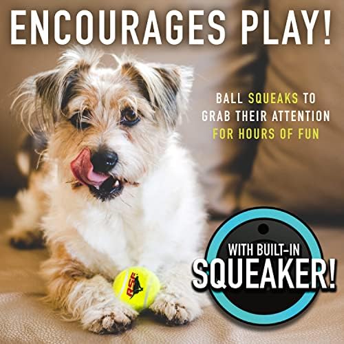 Franklin Sports Ready Set Fetch Mini Squeaker Tennis Ball - 12 Pack - Image 4
