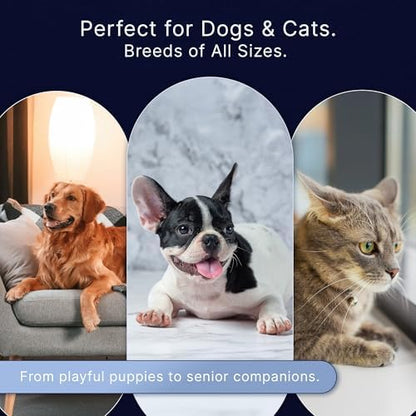 Professional Dog Nail Clippers for Large Dogs and Medium Dogs - with Safety Guard & Ergonomic Easy Grip, Dog Nail Trimmer for Large Dog, Safe Cat Nail Clippers - for Precise Grooming - Image 5