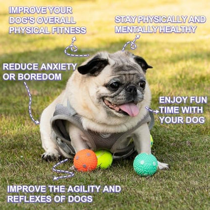 Dog Toy Balls for Small Dogs & Puppies, Chew & Chase Interactive 2” Soft Latex Balls, Durable Dogs Play Balls for Indoor/Outdoor (9 Pcs) - Image 2