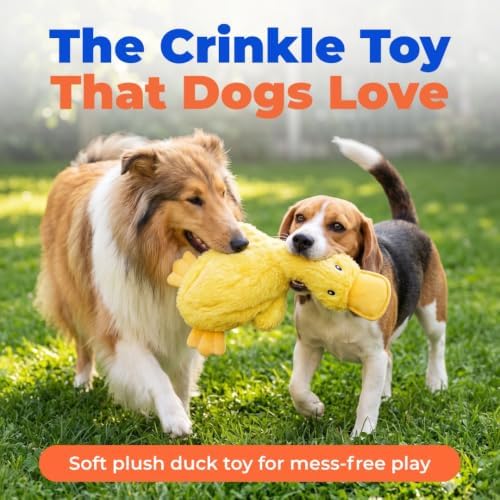 Best Pet Supplies Interactive Squeaky Dog Toy - Crinkle Duck, Yellow - Image 2